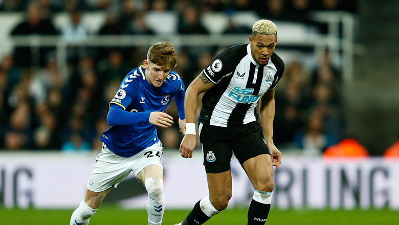 Nhận định Everton vs Newcastle, 2h30 ngày 8/12 - Ảnh 4